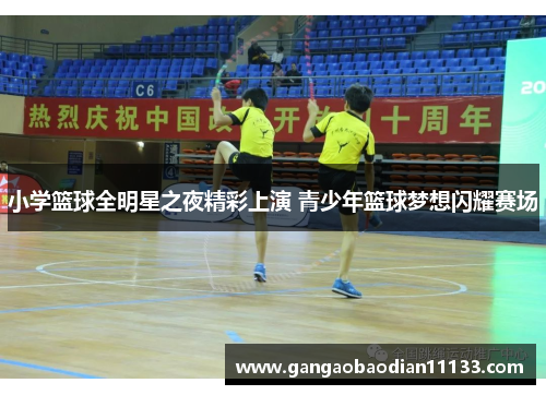 小学篮球全明星之夜精彩上演 青少年篮球梦想闪耀赛场
