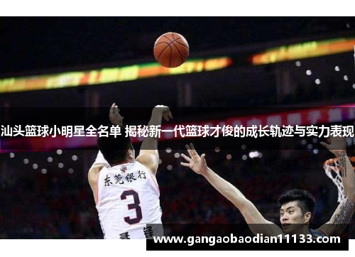 汕头篮球小明星全名单 揭秘新一代篮球才俊的成长轨迹与实力表现