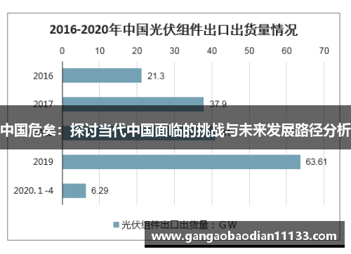中国危矣:探讨当代中国面临的挑战与未来发展路径分析