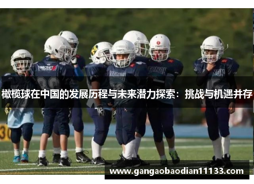 橄榄球在中国的发展历程与未来潜力探索:挑战与机遇并存