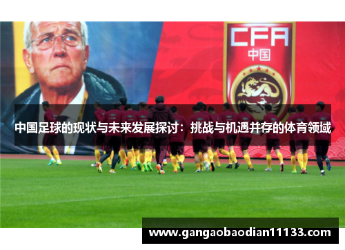 中国足球的现状与未来发展探讨:挑战与机遇并存的体育领域