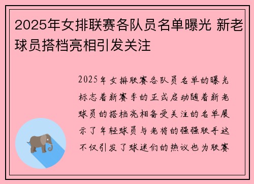 2025年女排联赛各队员名单曝光 新老球员搭档亮相引发关注