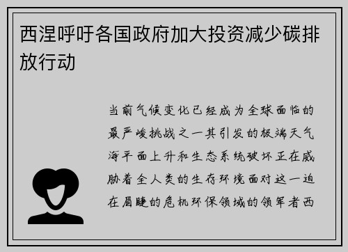 西涅呼吁各国政府加大投资减少碳排放行动
